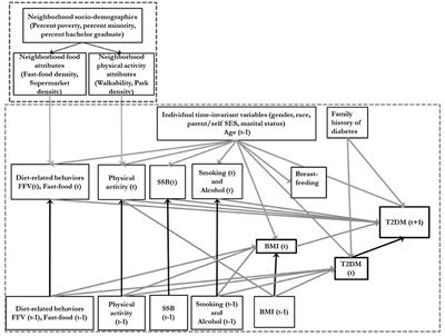 Forecasting Obesity and Type 2 Diabetes Incidence and Burden: The ViLA-Obesity Simulation Model